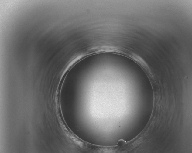 X0000080151190200612151822