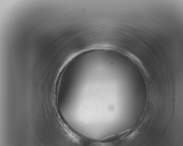 X0000080151192200612151822