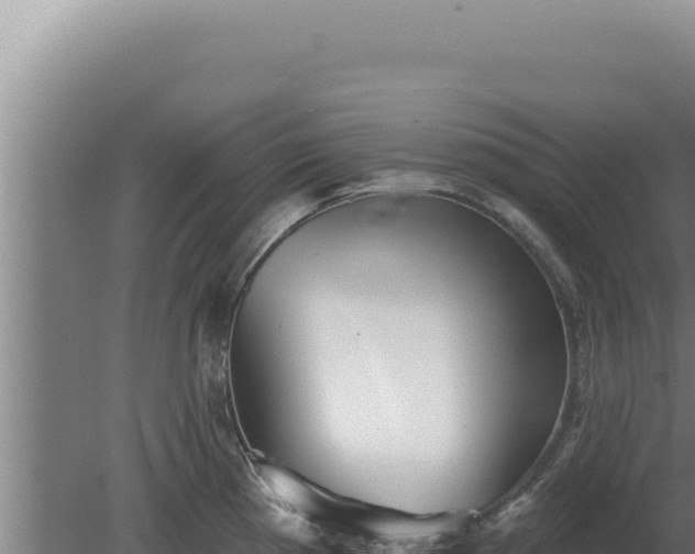 X0000080151193200612151822