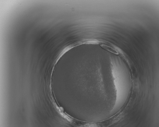 X0000080151194200612151822