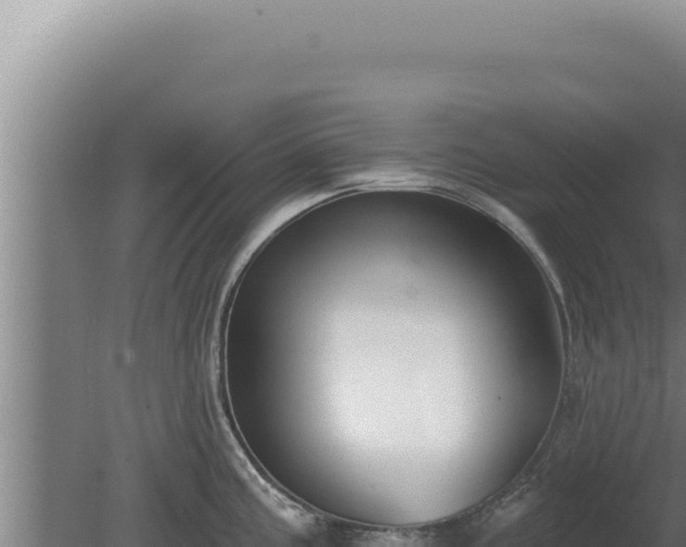 X0000080151195200612151822