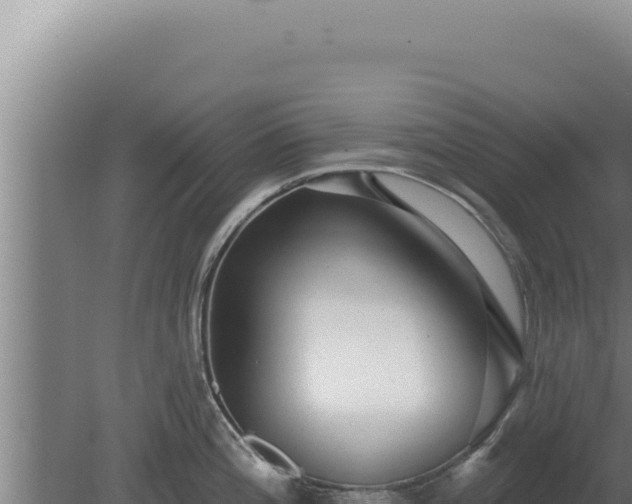 X0000080151196200612151822