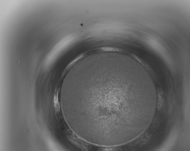 X0000080151198200612151822