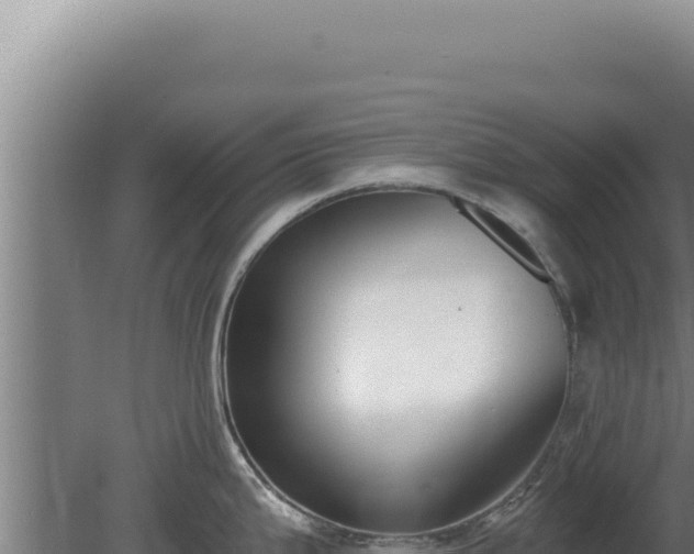 X0000080151199200612151822