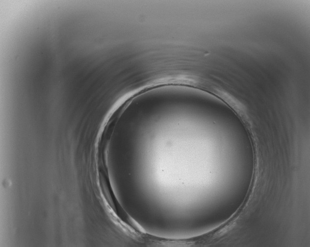 X0000080151200200612151822