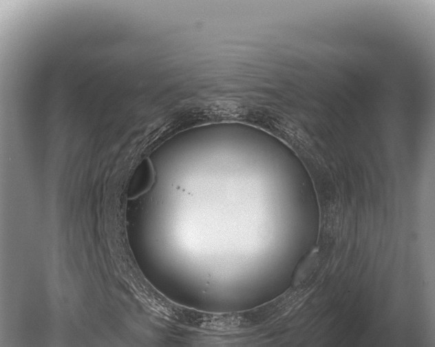 X0000080151201200612151821