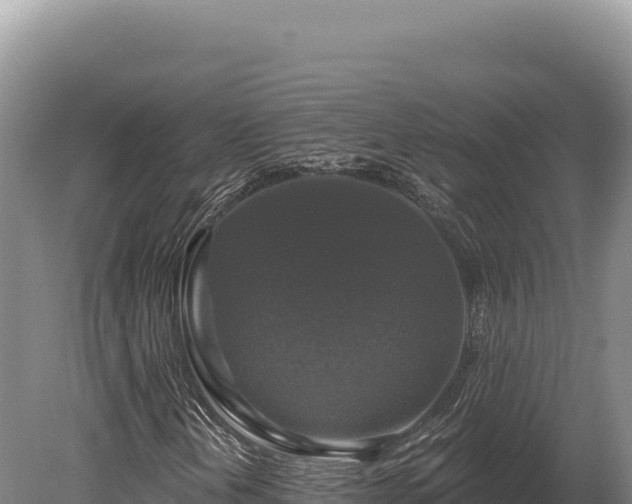 X0000080151202200612151821