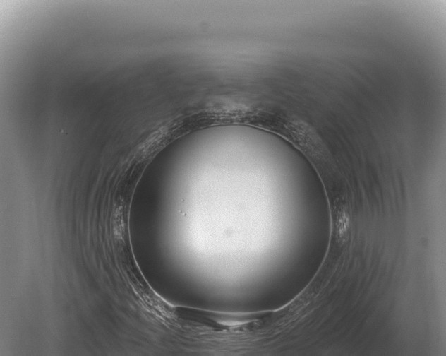 X0000080151204200612151821