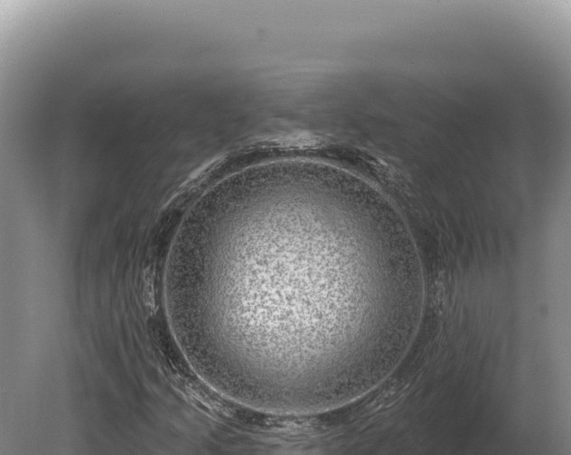 X0000080151205200612151821