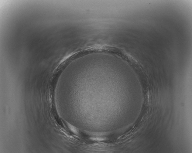 X0000080151206200612151821