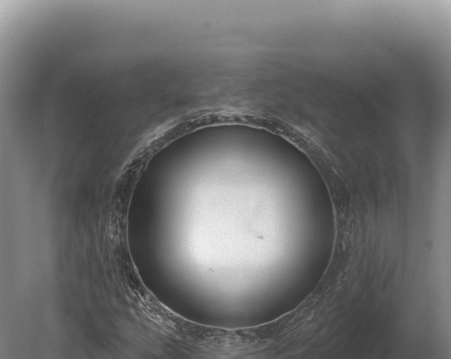 X0000080151207200612151821