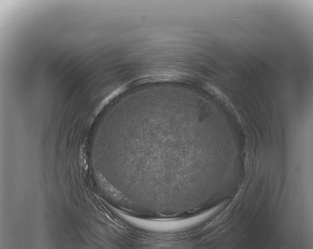 X0000080151210200612151821