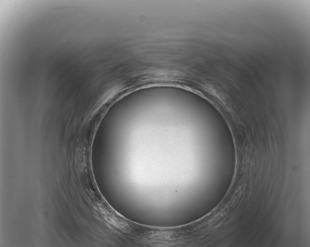 X0000080151211200612151821