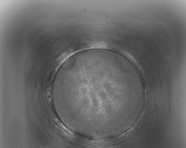 X0000080151212200612151821