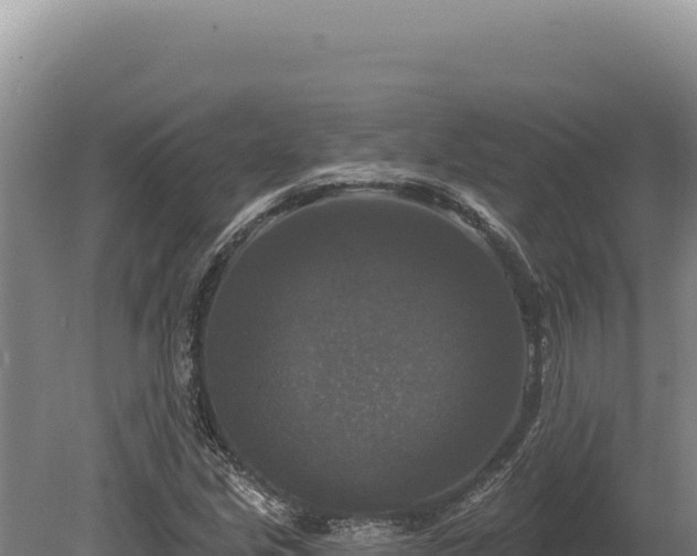 X0000080151213200612151821