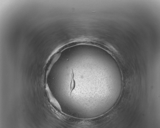 X0000080151216200612151821