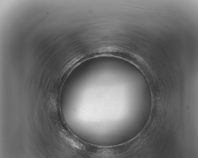 X0000080151217200612151821