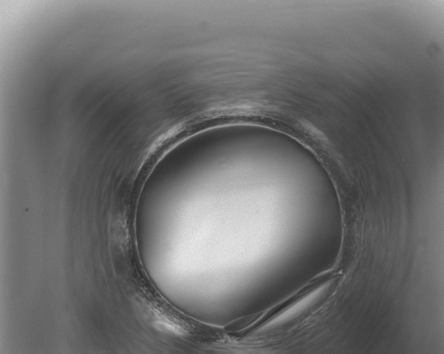 X0000080151218200612151821