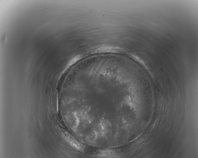 X0000080151219200612151821