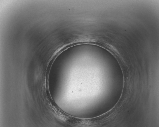 X0000080151220200612151821