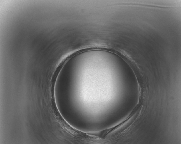 X0000080151222200612151821