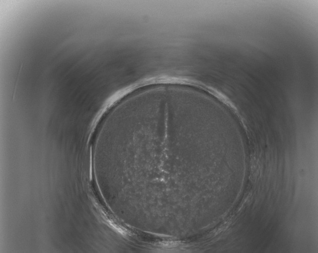 X0000080151223200612151821