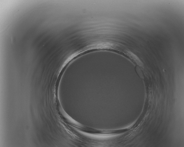 X0000080151226200612151822