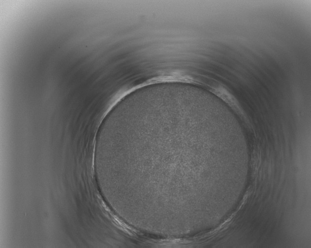 X0000080151228200612151822