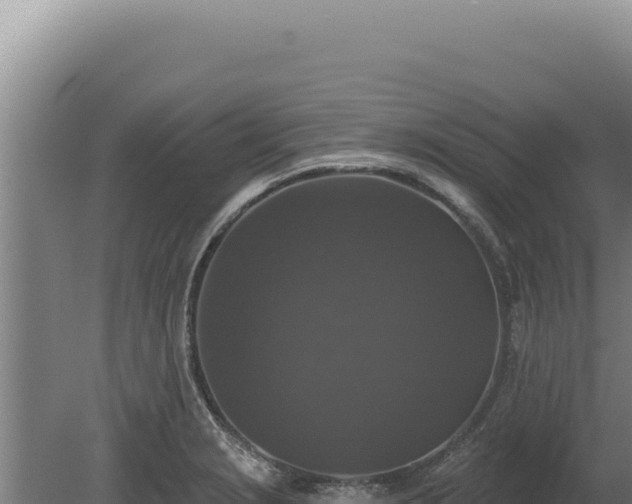 X0000080151229200612151822