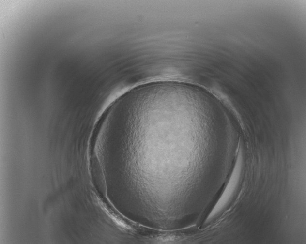 X0000080151230200612151822