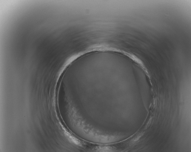 X0000080151231200612151822