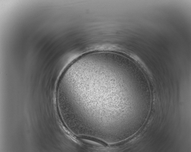 X0000080151232200612151822