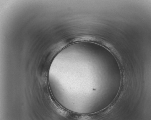 X0000080151233200612151822