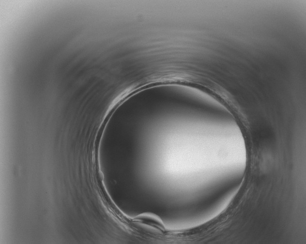 X0000080151234200612151822