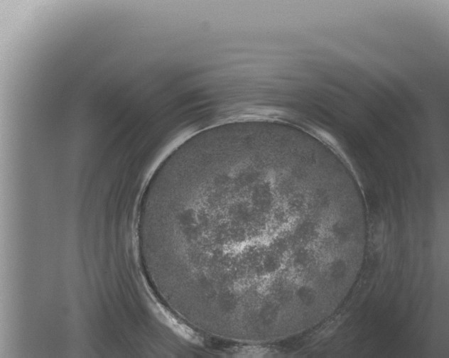 X0000080151235200612151822