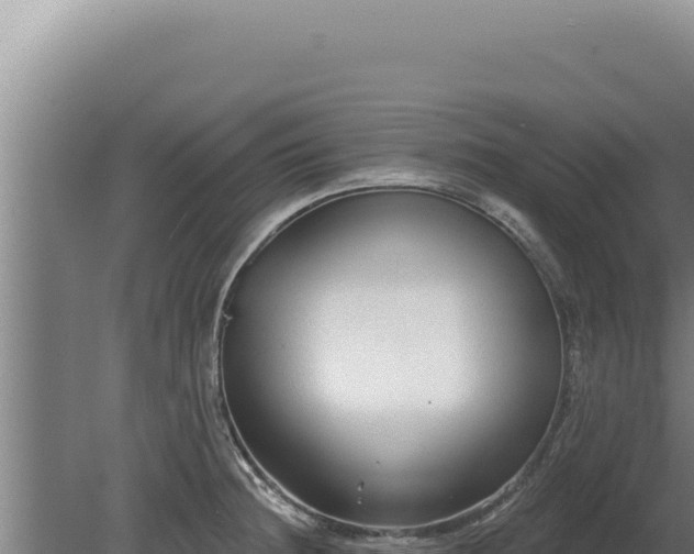 X0000080151236200612151822