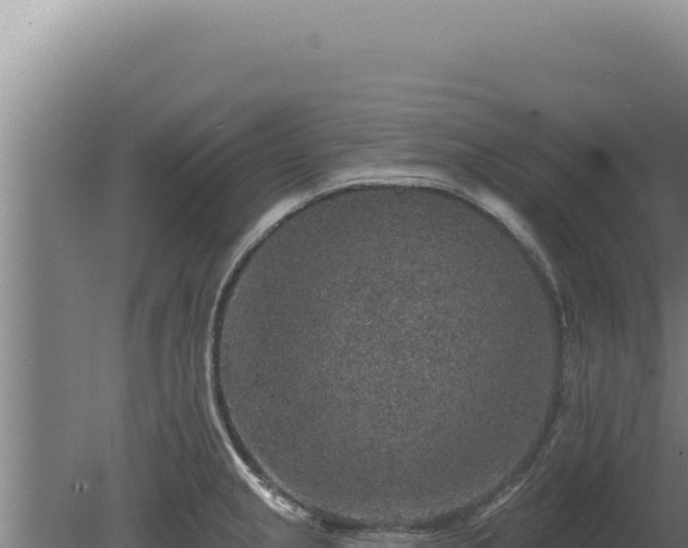 X0000080151237200612151822