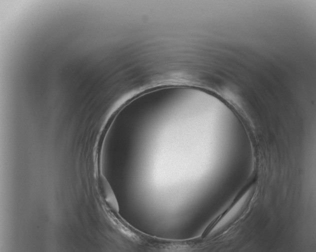 X0000080151238200612151822