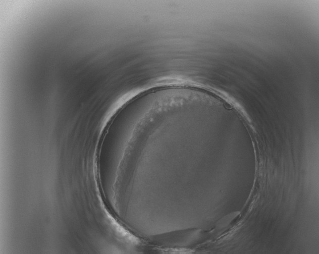 X0000080151239200612151822