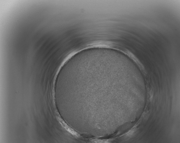 X0000080151240200612151822