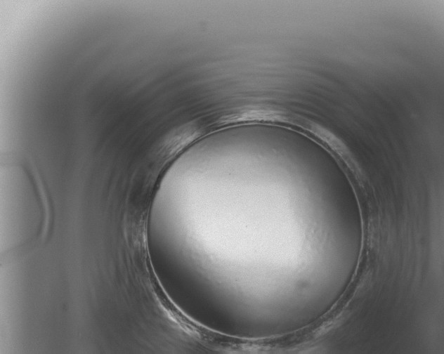 X0000080151241200612151822