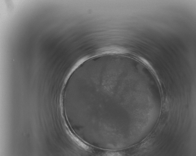 X0000080151243200612151822