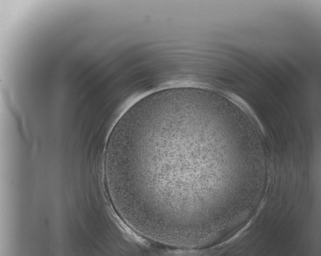 X0000080151244200612151822