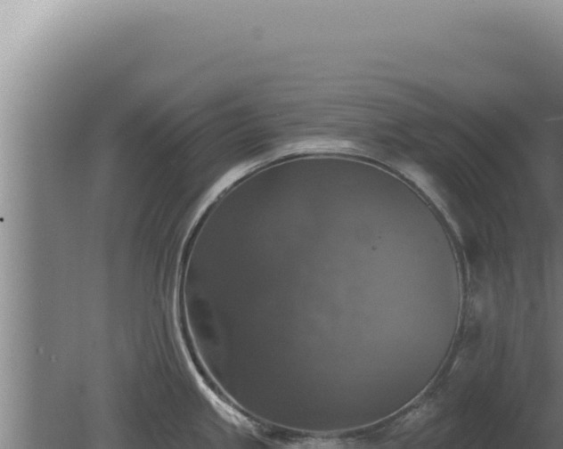 X0000080151245200612151822