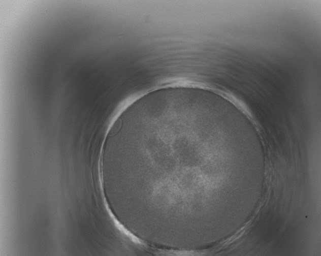 X0000080151247200612151822