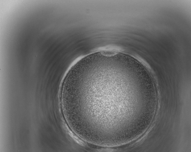 X0000080151248200612151822