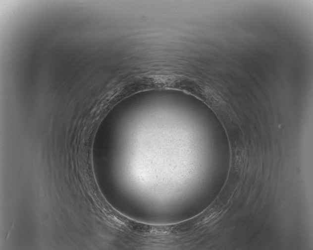 X0000080151249200612151821