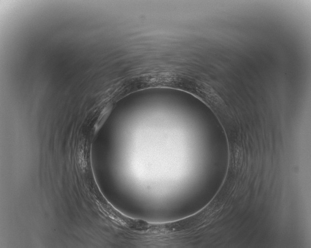 X0000080151250200612151821