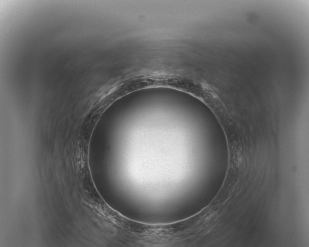 X0000080151253200612151821