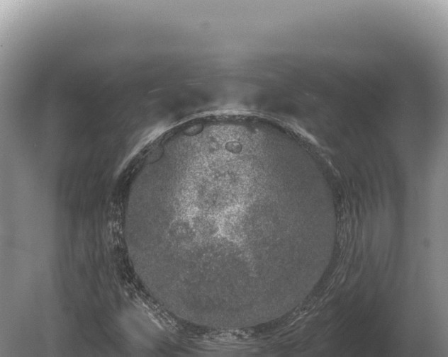 X0000080151255200612151821